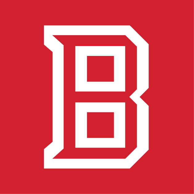 Bradley Braves 2012-Pres Secondary Logo v4 diy DTF decal sticker